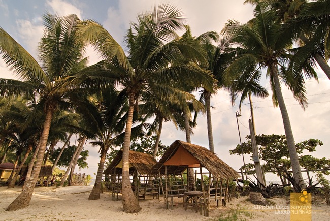 Coconuts and Cogon Huts at Matabang Beach Resort