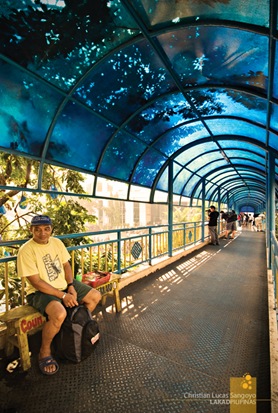 The Elevated Pedestrian Walks at Pasig City