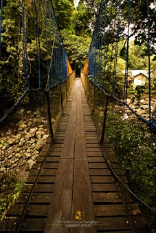A Slippery Hanging Bridge Perfect for Pictorials at Majayjay's Taytay Falls