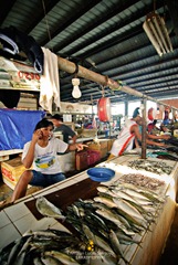 Fishes and More Fishes at Coron Market