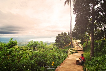 A Portion of Tagaytay Picnic Grove's Eco Trail