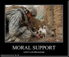 cute-puppy-pictures-moral-support