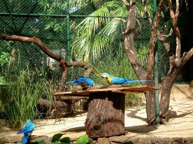 [casela (1)[3].jpg]