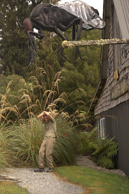14 Days in New Zealand Jump Start Your Travel Plans IMGP1673 14 Days in New Zealand Jump Start Your Travel Plans