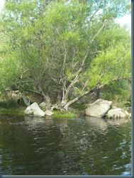 lago las truchas cumbresita