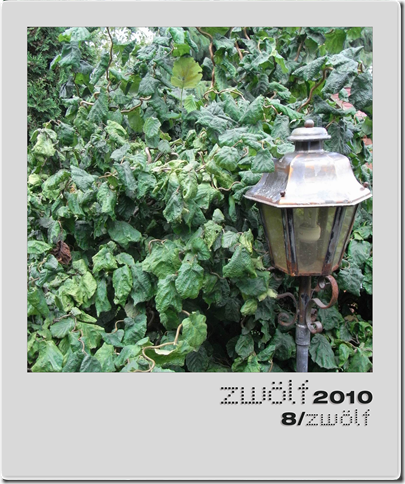 8-zwoelf2010-polaroid
