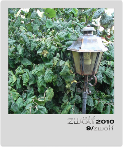 [9-zwoelf2010-polaroid[4].png]