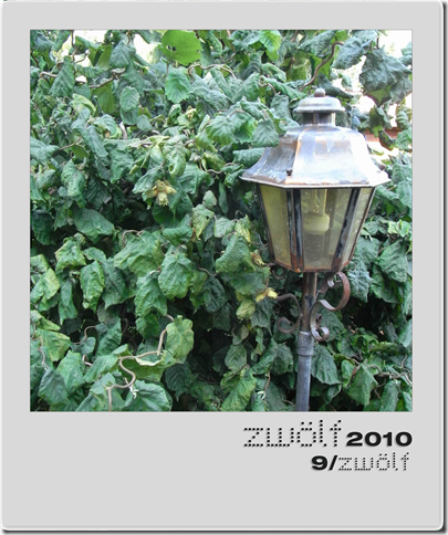 9-zwoelf2010-polaroid