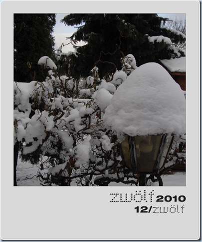 12-zwoelf2010-polaroid