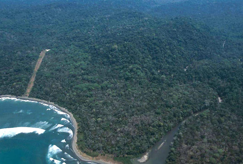 Aerial view of Corcovado National Park, costa rica