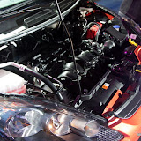 IMG_2458.JPG