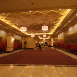 IMG_3741.jpg