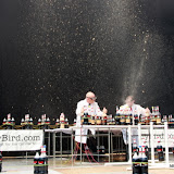 mentos coke zero geyser (45).JPG