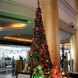 IMG_3245.JPG