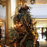IMG_3251.JPG