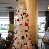 IMG_3264.JPG