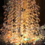 IMG_3295.JPG