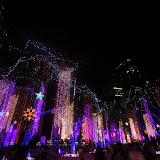 ayala triangle christmas (37).JPG