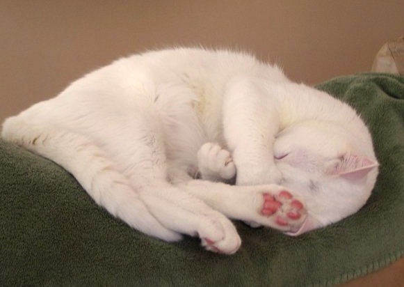 [Fullscreen capture 3212011 14304 PM.bmp[3].jpg]