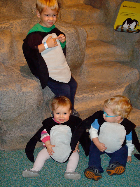 penguins
