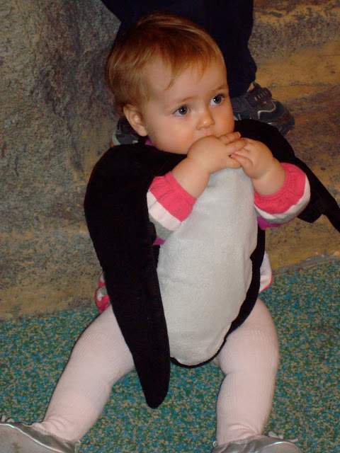 penguin