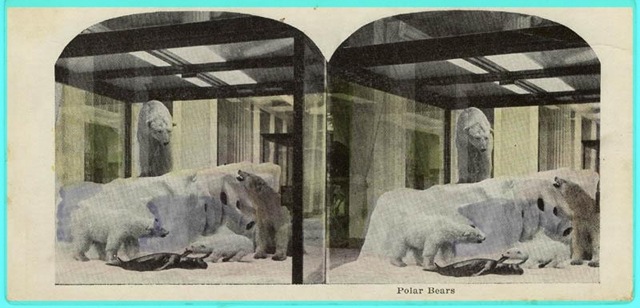 [MuseumChicagoPOST7.jpg]