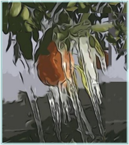 [Orangeonice3.jpg]