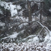 dsc07553.jpg