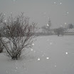 dsc07582.jpg