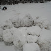 dsc07608.jpg
