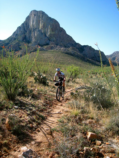 Elephant Head singletrack through the Ocotillos Elephant Head singletrack through the Ocotillos