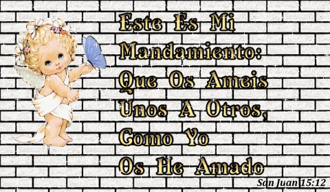 textoanimacionnsei5