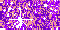 violet-01