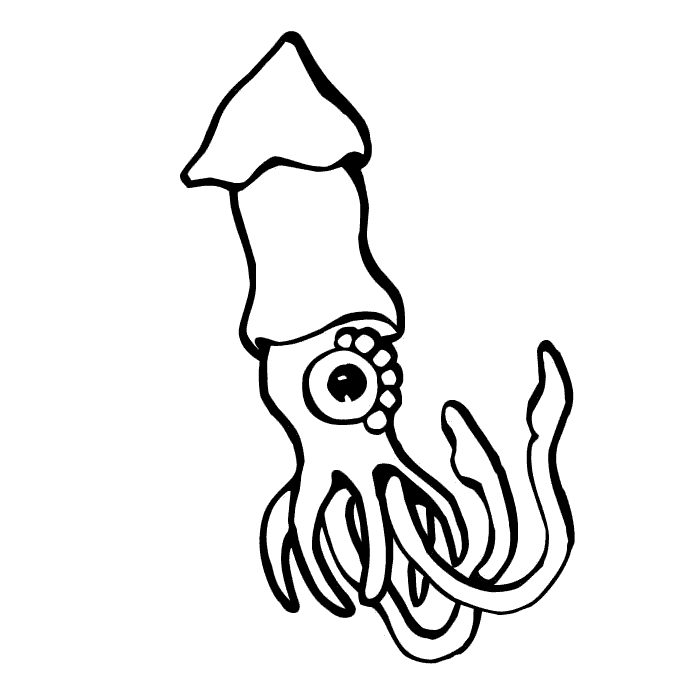 [calamar (1)[2].gif]