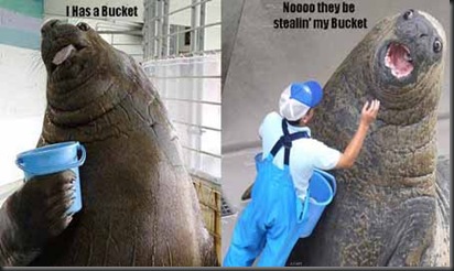bucketmybucket