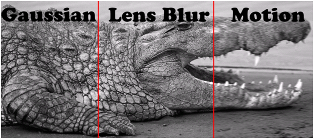 Gaussian, Lens, Motion