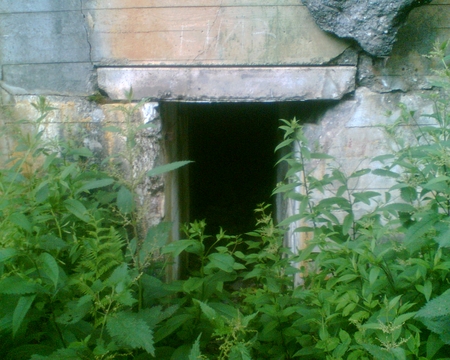 bunker1.jpg