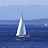 DSC_0068.jpg