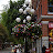 DSC_0135.jpg DSC_0135.jpg