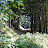 DSC_0297.jpg DSC_0297.jpg
