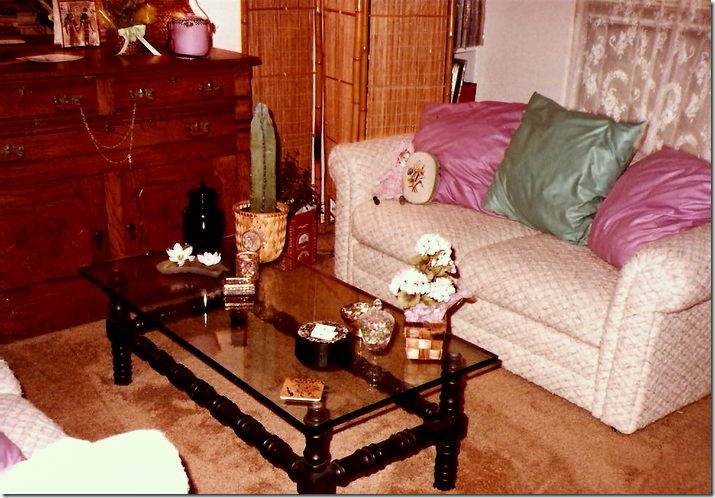 My First Apartment And Other Hysterical Jokes My First Apartment And Other Hysterical Jokes