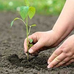 environment-protection-6-00