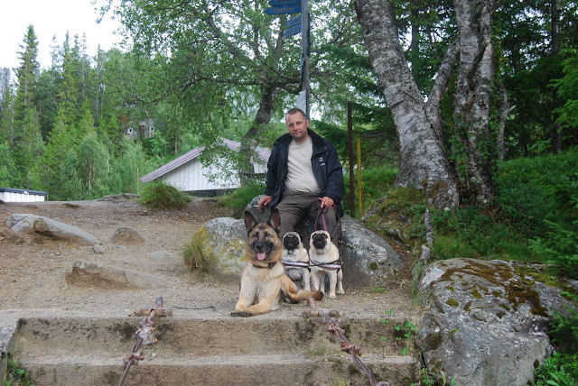 Sommar 2010 Sommar 2010