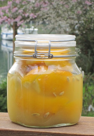 [preserved lemons 021[4].jpg]