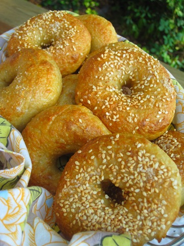 [bagels1914.jpg]