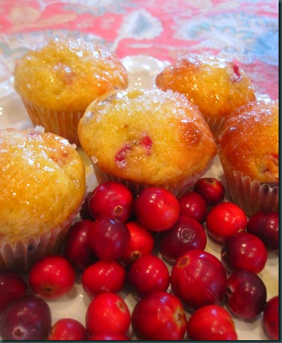 cranberry muffins and spritzer 068