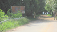 IMG_4790.JPG Photo