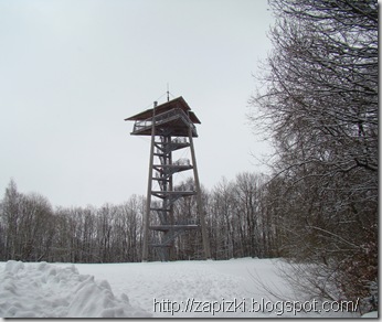 Смотровая вышка на опушке леса Смотровая вышка на опушке леса