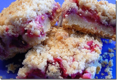 CranberryCrumbBars