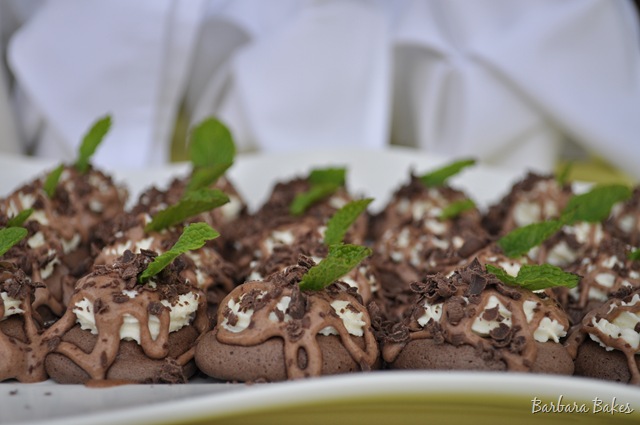 [ChocolatePavlova4[2].jpg]